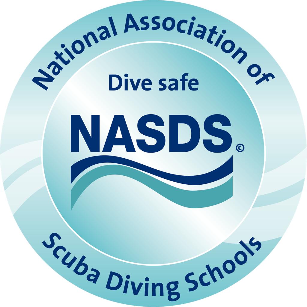 NASDS Logo